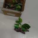 5PCS Artificial Fish Tank Plants Silk Aquarium Plants for Betta Fish