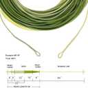 Aventik Fly Line Fishing Floating Line Percerption Line Weight Forward Fishing Line Ultra Low Stretch Core Loops Line Tri-Colored Loading Zoom Welded Loops Line ID (WF4F, Light green+dark green+yellow)