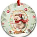 CHOANG Hedgehog Christmas Ornament 2025 - Cute Animal Ceramic Decor for Xmas Tree Hanging, Car Interior - Gift for Hedgehog Lover, Little Animal Gifts for Women, Girls, Kids