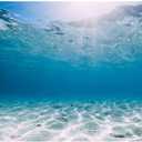 AWERT 48x18 inches Polyester Ocean Floor Background Undersea Ocean Floor Aquarium Background Tropical Tank Background