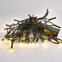 Lomotech Battery Operated Christmas Lights - 2 Pack Total 16ft 50LEDs Battery String Lights with Timer for Home, Garden, Party, Holiday, Tree Decoration (Green Wire, Warm White)