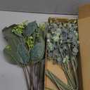 Janinka Mixed Eucalyptus Leaves Stems Bulk with White Seeds Artificial Silver Dollar Leaves Sprays Faux Oval for Wreath Garland Floral Bouquets Arrangement Wedding Greenery Decoration (20 Pcs)