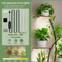 Plant Stand Indoor with Grow Lights - 8 Tiered Tall Plant Shelf, 65" Metal Corner Shelf for Indoor Plants Multiple, Large Curved Half-Moon Flower Holder Stand Display Rack for Patio, Home, 2 Pack