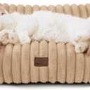 Bedsure ComfyFleece Cute Cat Couch for Pets - Fluffy Cat Sofa with Premium Soft Corduroy Fleece, Fuzzy Pet Couch Bed with Washable Cover, Supportive Pet Chair for Indoor Cats, 24inch, Sandy Beige (24x18x10")