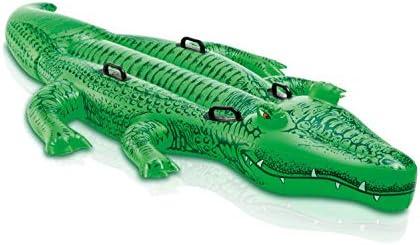 INTEX Inflatable Pool Float: Pool Toy for Kids