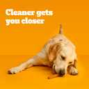 Pedigree Dentastix Large Dog Treats, Original, Beef & Fresh, 2.73 lb. Variety Pack (51 Treats Total)