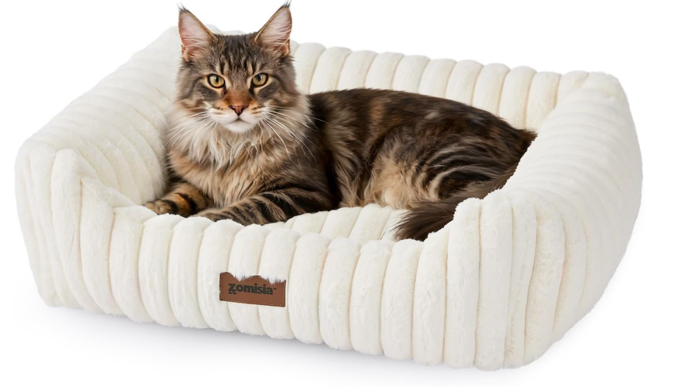 Large Cat Beds - Orthopedic Dog Bed for Medium Dogs, Rectangle Pet Bed with Fluffy Removable Washable Cover, 25x21x9inches, Cream 