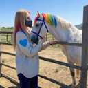 12 Pack Dog Hair Color Dye - Vibrant, Washable, and Safe Temporary Pet Hair Dye - Perfect for Grooming, Festivals, and Creative Styling - Assorted Colors for Dogs, Cats, and Pets