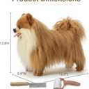 Lifelike Pomeranian Stuffed Animal - 13.8" Realistic Plush Dog Toy with Grooming Kit & Gift Box, Soft Cuddly Puppy Companion for Kids and Dog Lovers - Home Decor & Heartwarming Birthday Gift