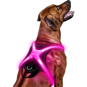 Light Up Dog HarnessMulticolor LED Dog Harness with 7 Lighting Modes | No Pull USB Rechargeable Safety Vest with Handle for Medium Large Dogs | Waterproof & Adjustable Glow-in-The-Dark Illuminated(M)