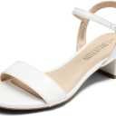 DREAM PAIRS Women's Low Heels for Women Classic Open Toe Ankle Strap Block Chunky Heel Sandals Holiday Party Wedding Dress Pumps Shoes (7.5 Wide)