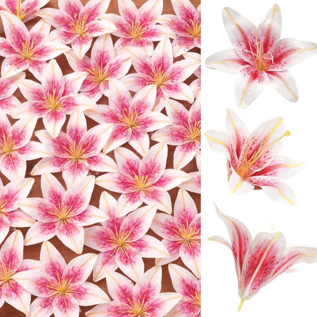 SNAIL GARDEN 24PCS 5.5" Large Fake Lilies Flower Heads with Realistic Stamens,24PCS Pink Artificial Flower Heads, Bulk Silk Flowers for Crafts, Cake Decorating, Wedding Party Wreath, Home Decor