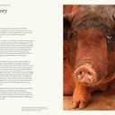 The Animal Mind: Profiles of Intelligence and Emotion