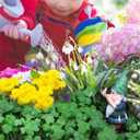 Funny Stop Garden Gnome - 6.2 Inch Resin Statue with Stop Sign, Humorous Outdoor Decor for Yard, Garden, Patio, Dog Poop Area & Trash Can Guardian