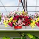 52 Bundles Artificial Flowers for Outdoor 32 Fake Colorful Morning Glory & 20 Realistic Silk Camellia Faux Flower Bulk for Front Door Planter Porch Patio Yard Balcony