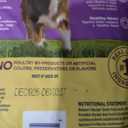 Nature's Recipe Grain Free Dry Dog Food, Lamb, Sweet Potato & Pumpkin Recipe, 4 lb. Bag, Best By: DEC/19/2026