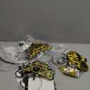 Happy New Year Party Supplies 2026, 49pcs New Years Party Favors Set Includes New Years Paper Hats, Headband, Eyeglasses, Blowouts, Banner for New Year's Eve Party