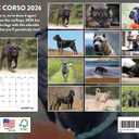 Cane Corso Calendar 2026 Wall 12 Month Monthly Cane Corsos Gifts For Cane Corso Lovers Women Men Mom Dad | American Made In The USA