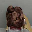 Homemate Electric Heated Blanket Twin Size - 62"x84" Heating Blanket Twin Size 1/2/4/6/8 Hours Auto-Off 10 Heat Level Over-Heat Protection Flannel Sherpa ETL Certification