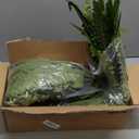 Artificial Ferns for Outdoors & Indoors, 51" Fake Ferns Artificial Plants Large with 66 Fronds, 2 Packs Faux Fern Greenery for Porch Windowsill Garden Planter Home Office Decor, Potted or Hanging