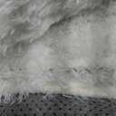 Fluffy Area Rug Living Room: White Shag Rug 6x9 Plush Rugs for Living Room - Large Fuzzy Soft Carpet (White 6x9 Feet)