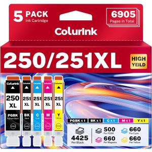 2 x 250 251 Printer Ink Cartridges Replacement for Canon MX922 Ink Combo, PGI-250XL CLI-251XL PGI 250XL 251XL XL Smart Ink for Color Printers Pixma IP8720 IX6820 MX920 MG5520 MG7520 MG6620 (5 Packs)