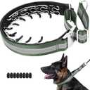 Mayerzon Martingale No Pull Collar for Large Medium Dogs, Patented Dog Walking Training Collar for Pulling, 1.5'' Wide Alloy Buckle, Neoprene Padded, Adjustable, Reflective, Easy to Use(L, Green)