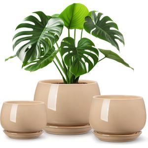 vancasso 3-Pack Ceramic Plant Pots, 7.3/9.6/11.6 Inch Indoor Planters with Saucers & Drainage Hole Planter pots for Indoor Plants and Flower, Brown