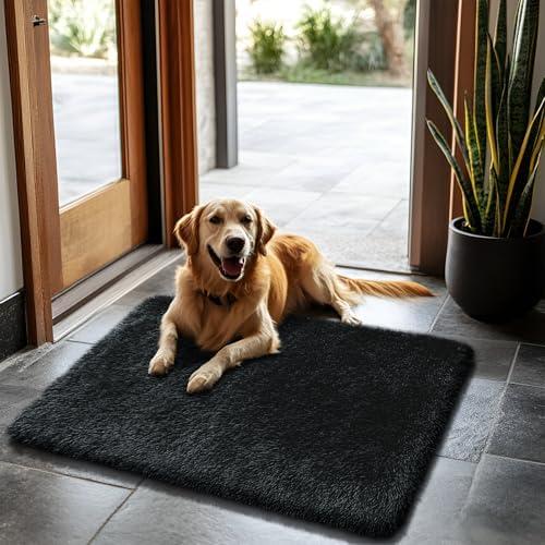 2x3 Fluffy Area Rugs for Bedroom Living Room,Small Soft Shag Fuzzy Rug Non-Shedding Indoor Plush Carpet for Kids Bedroom Nursery Dorm Home Decor,Black