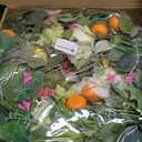 24 Inch Spring Wreaths for Front Door- Outdoor Spring Summer Flower Wreath with Vibrant Peony Hydrangea Flower, Green Eucalyptus Leaves and Orange Berry- Ideal for Porch,Mantel,Home Wall