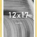 An&He 12x17 Picture Frame, Gold Photo Frame for Tabletop and Wall Display, Minimalist Design, Set of 1