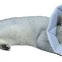 WZ PET Soft Cat Recovery Collar,Adjustable Dog Cat Cone,Dog Protective Cone Collar After Surgery,for Kitten and Puppy,Small,Blue