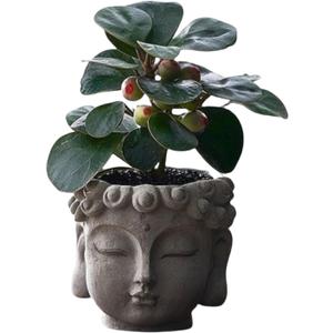 Buddha Head Planter with Drainage Hole - Zen Flower Pot for Succulents, Air Plants, Home & Office Decor, Gift for Plant Lovers (Indoor/Outdoor Use)
