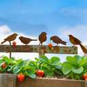 5PCS Rusty Metal Birds Decoration Bird Silhouette Statues Rusty Metal Yard Art Rustic Garden Outdoor Decor A