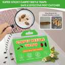 20 Pack Carpet Beetle Traps, Indoor Sticky Glue Traps for Carpet Beetles, Larvae & Other Crawling Insects Non-Toxic Sticky Trap Monitoring Solution
