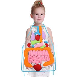 KAKIBLIN 3D Organ Apron,(Upgrade Version) Anatomy Apron Human Body Organs Awareness Educational Toy for Home Preschool Teaching Aid, Transparent