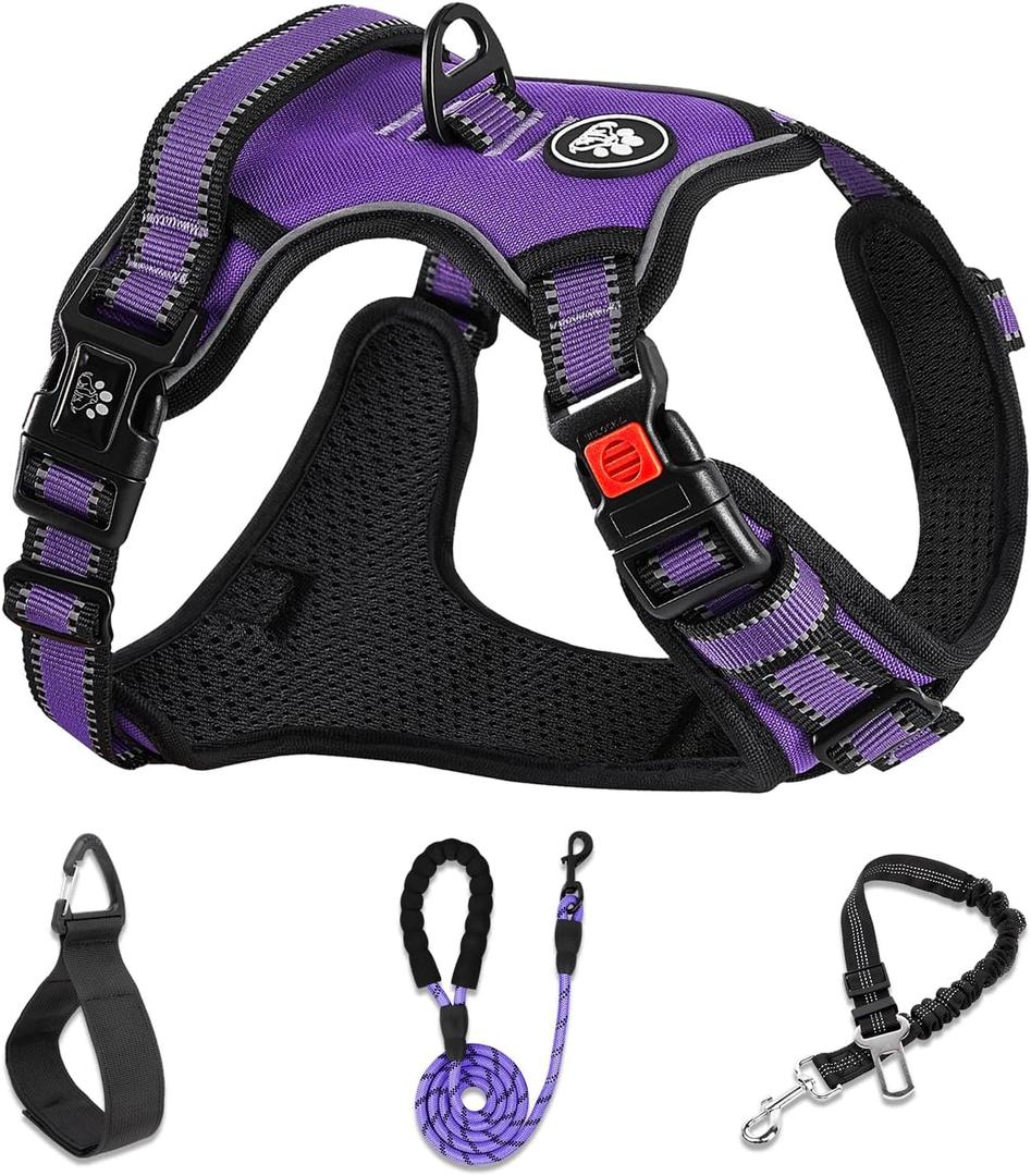 NESTROAD No Pull Dog Harness,Adjustable Oxford Dog Vest Harness with Leash,Reflective No-Choke Pet Harness with Easy Control Soft Handle for Small Medium Dogs(Medium, Purple) (M neck 13-17" chest 17-25")