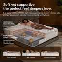 OFFTR z 14 Inch King Size Mattress Medium Firm Hybrid with Memory Foam for Pressure Relief & Spinal Alignment - Supportive Comfort Without Sinkage, Superior Zoned Support, Motion Isolation