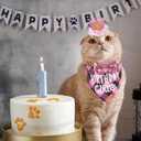 ADOGGYGO Cat Birthday Party Supplies, Birthday Girl Plaid Kitten Bandana, Pink Cat Party Hat with Numbers, Bowtie (Pink)