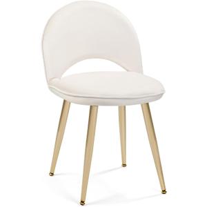 Vanity Chair with Adjustable Back Vanity Stool with Backrest Multifunction Chair for Dressing Home Office Kitchen Dinning Room and Living Room(Adjustable Backrest-Velvet White) Vanity Chair with Adjustable Back Vanity Stool with Backrest Multifunction Chair for Dressing Home Office Kitchen Dinning Room and Living Room(Adjustable Backrest-Velvet White)