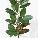 Serene Spaces Living 32in Long Artificial Magnolia Leaf Garland, Ideal to Hang at Wedding, Store Display, Window Sill, Fall Decor, Perfect Holiday Dcor
