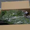 2 Pack Artificial Cypress Topiary Ball Trees with Ground Spike, 24" Norfolk Fake Bushes Shrubs UV Resistant Faux Plants Greenery for Outdoor Planters Garden Front Porch Pot Urn Fillers Spring Decor