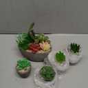 Succulents Plants Artificial Set of 5, Realistic Fake Succulents with Cement Like Pots for Home Office Decoration. (Type1)