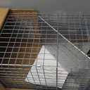 Havahart Large 1-Door Live Animal Trap for Raccoons, Cats, Bobcats, Beavers
