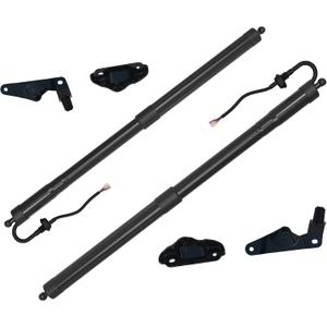 Electric Liftgate Strut Compatible with 2014-2019 Toyota Highlander Driver and Passenger Side Power Tailgate Shock Support # 6891009130 6891009120 Pair