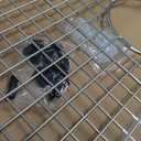 Serene Valley Sink Bottom Grid 27-9/16" X 14-7/16", Centered Drain with Corner Radius 3/8", Sink Protector SVH2815C