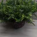 QIANYUN Fake Fern Outdoor Artificial Plants-2-Pack Artificial Outdoor Hanging Fern Faux Greenery UV Resistant Plastic Plants for Front Porch Living Room Garden Decor- Including Hanging Planters