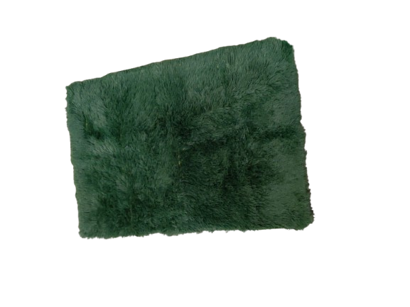 Dark Green Rug for Bedroom Living Room, Fluffy Small Area Rug Soft Shag Carpet for Kids Boys and Girls Room Home Decor 24x36 in