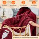 Electric Heated Blanket Twin Size - Jacquard Shaggy Sherpa 62"x84" Fast Heating Bed Blankets with 6 Heating Levels & 10 Hours Auto Off, Over-Heated Protection ETL, Red