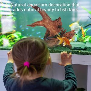 WDEFUN Natural Driftwood for Aquarium Decor, 1-Piece 10''-14'' Large Driftwood for Decorations on Fish Tank, Reptiles Bearded Dragon Accessories or Air Plants